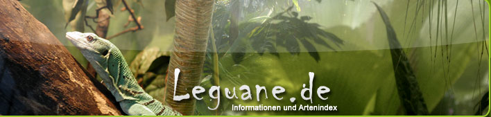 Leguane.de Startseite